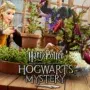 Hogwarts mystery energy